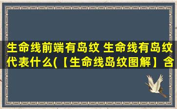 生命线前端有岛纹 生命线有岛纹代表什么(【生命线岛纹图解】含义与解析详细解读)